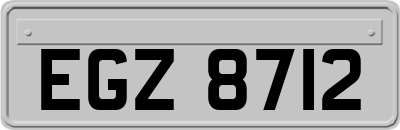 EGZ8712