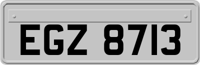 EGZ8713