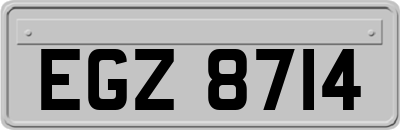 EGZ8714