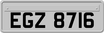 EGZ8716