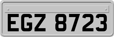 EGZ8723