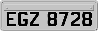 EGZ8728