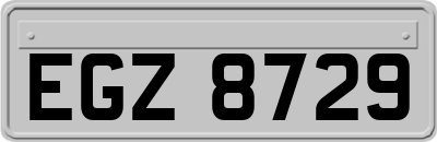 EGZ8729