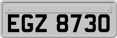 EGZ8730
