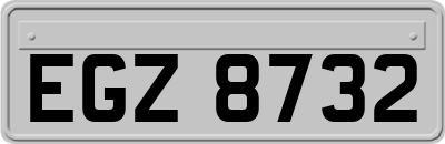 EGZ8732