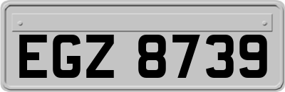 EGZ8739