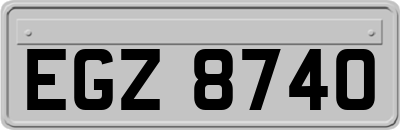 EGZ8740