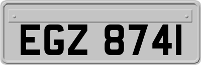 EGZ8741