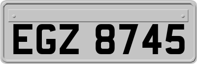 EGZ8745