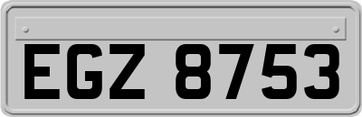 EGZ8753
