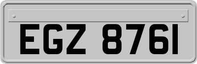 EGZ8761