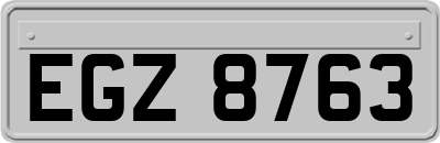 EGZ8763