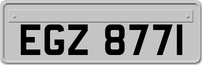 EGZ8771
