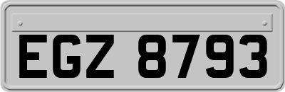 EGZ8793