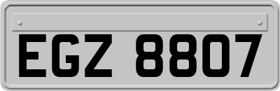 EGZ8807