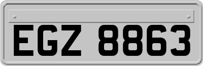 EGZ8863