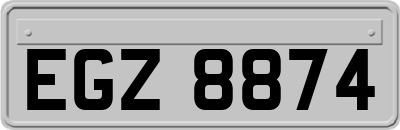 EGZ8874