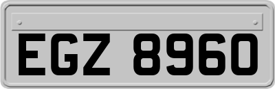 EGZ8960