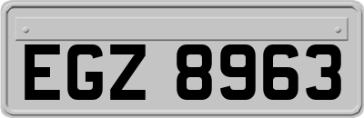 EGZ8963