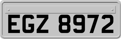 EGZ8972