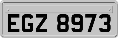EGZ8973