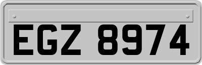 EGZ8974