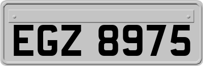 EGZ8975