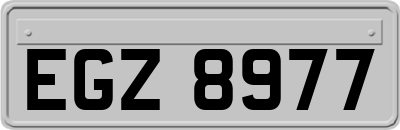 EGZ8977