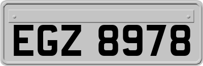 EGZ8978