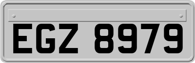 EGZ8979