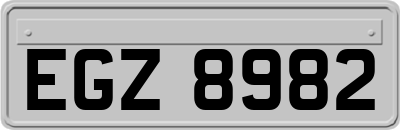 EGZ8982