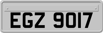 EGZ9017