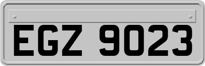 EGZ9023