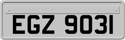 EGZ9031