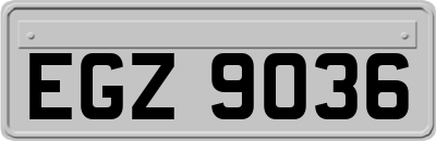 EGZ9036