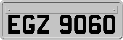 EGZ9060