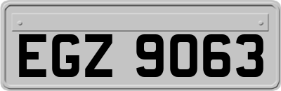 EGZ9063