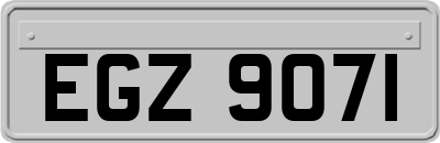 EGZ9071