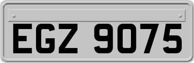 EGZ9075