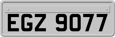 EGZ9077