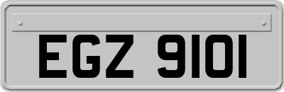 EGZ9101