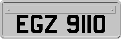 EGZ9110