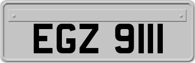 EGZ9111