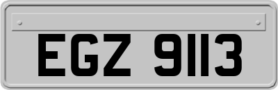 EGZ9113