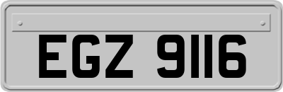 EGZ9116