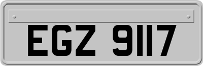 EGZ9117