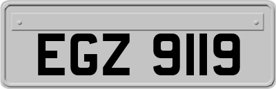 EGZ9119