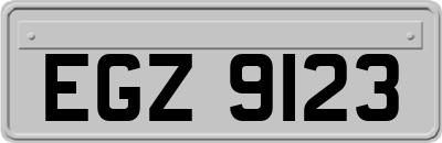 EGZ9123