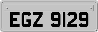 EGZ9129