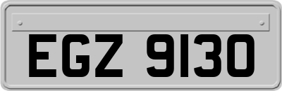 EGZ9130
